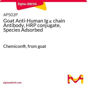 Anticorps de chèvre anti-chaîne &#954; d'Ig humaine, conjugué à de la HRP, correspond aux espèces adsorbées Chemicon&#174;, from goat