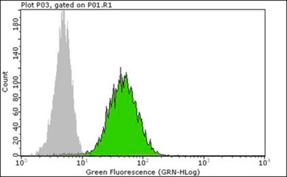 Anti-trimethyl (Lys9)-phospho (Ser10)-Histone H3 Antibody, rabbit monoclonal Upstate&#174;, from rabbit