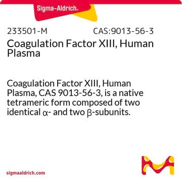 Coagulation Factor XIII, Human Plasma Coagulation Factor XIII, Human Plasma, CAS 9013-56-3, is a native tetrameric form composed of two identical &#945;- and two &#946;-subunits. Thrombin converts the &#945;2&#946;2 tetramer to a modified &#945;2&#697;&#946;2 tetramer.