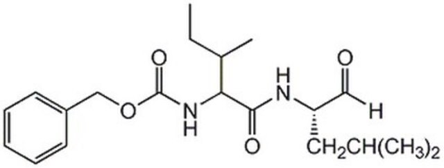 &#947;-Secretase Inhibitor XII The &#947;-Secretase Inhibitor XII controls the biological activity of &#947;-Secretase. This small molecule/inhibitor is primarily used for Neuroscience applications.