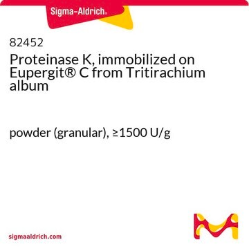 Proteinase&#160;K, immobilized on Eupergit&#174;&#160;C from Tritirachium album powder (granular), &#8805;1500&#160;U/g