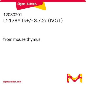 L5178Y tk+/- 3.7.2c (IVGT) NOTE: Both the cell line and DNA from the cell line may be available for this product. Please choose -1VL or VIAL for cells, or -DNA-5UG for DNA., from mouse thymus