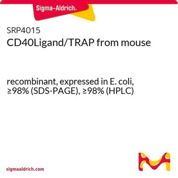 CD40Ligand/TRAP from mouse recombinant, expressed in E. coli, &#8805;98% (SDS-PAGE), &#8805;98% (HPLC)