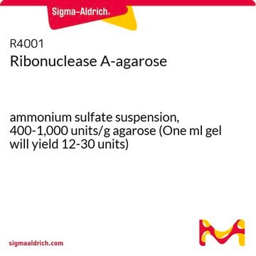 Ribonuclease A-agarose ammonium sulfate suspension, 400-1,000&#160;units/g agarose (One ml gel will yield 12-30 units)