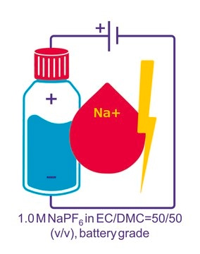 Sodium hexafluorophosphate solution in ethylene carbonate and dimethylcarbonate, 1.0 M NaPF6 in EC/DMC=50/50 (v/v), battery grade