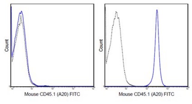 Anti-CD45.1 Antibody (mouse), FITC, clone A20 clone A20, 0.5&#160;mg/mL, from mouse