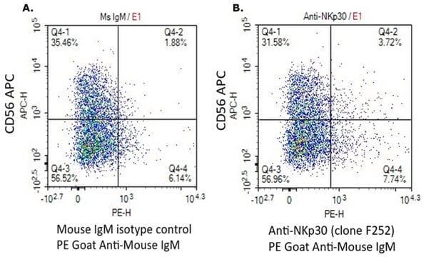 Anti-NKp30/CD337 Antibody, clone F252