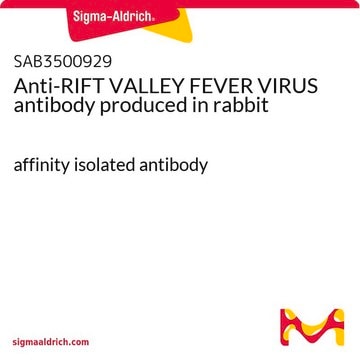 Anti-RIFT VALLEY FEVER VIRUS antibody produced in rabbit affinity isolated antibody