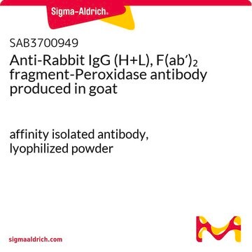 Anti-Rabbit IgG (H+L), F(ab&#8242;)2 fragment-Peroxidase antibody produced in goat affinity isolated antibody, lyophilized powder