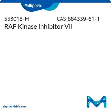 RAF Kinase Inhibitor VII