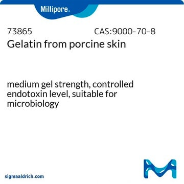 Gelatina from porcine skin from Porcine skin, pkg of 500&#160;g, suitable for microbiology