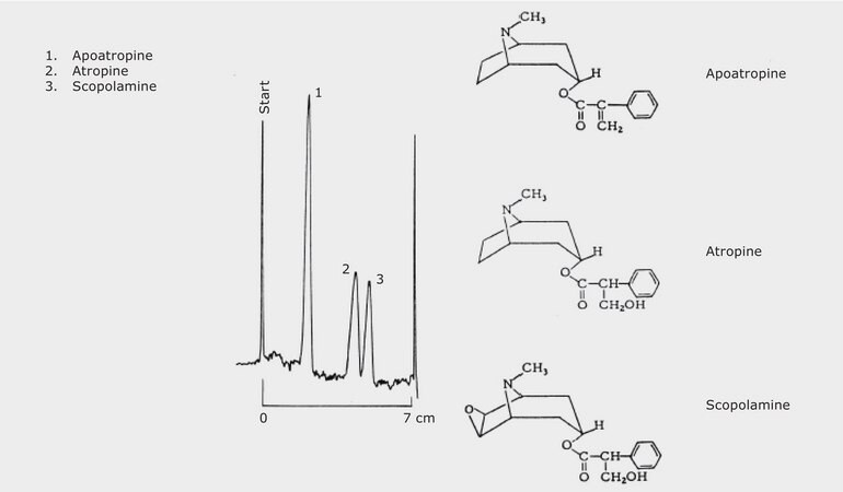 TLC Analysis of Tropane Alkaloids on HPTLC Pre-Coated Plate RP-18 F254s ...