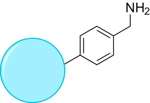 TurboBeads&#8482; Amine extent of labeling: &#8805;0.1&#160;mmol/g loading (-Ph-CH2-NH2)