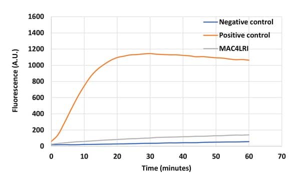 Metapolyzyme with RNase inhibitor Suitable for Bacterial Transcriptomics, Multilytic Enzyme Mix suitable for RNA isolation