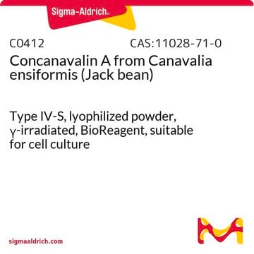 Concanavalin A aus Canavalia ensiformis (Jack bean) Type IV-S, lyophilized powder, &#947;-irradiated, BioReagent, suitable for cell culture