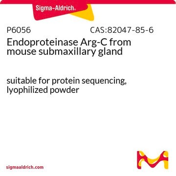 Endoproteinase Arg-C from mouse submaxillary gland suitable for protein sequencing, lyophilized powder