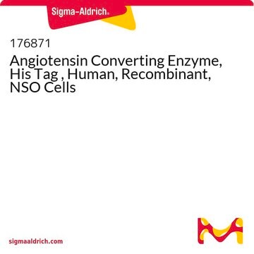 Angiotensin Converting Enzyme, His Tag , Human, Recombinant, NSO Cells