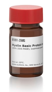 Myelin Basic Protein bovine &#8805;90% (SDS-PAGE), lyophilized powder, suitable for activity assay