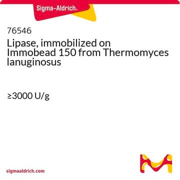 Lipase, immobilisiert auf Immobead 150 aus Thermomyces lanuginosus &#8805;3000&#160;U/g