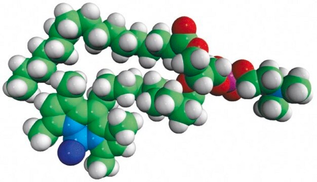 TopFluor&#8482; PC 1-palmitoyl-2-(dipyrrometheneboron difluoride)undecanoyl-sn-glycero-3-phosphocholine, powder