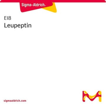 Leupeptina