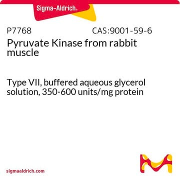 ピルビン酸キナーゼ ウサギ筋肉由来 Type VII, buffered aqueous glycerol solution, 350-600&#160;units/mg protein