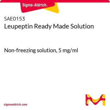 Leupeptin Ready Made Solution Non-freezing solution, 5 mg/ml