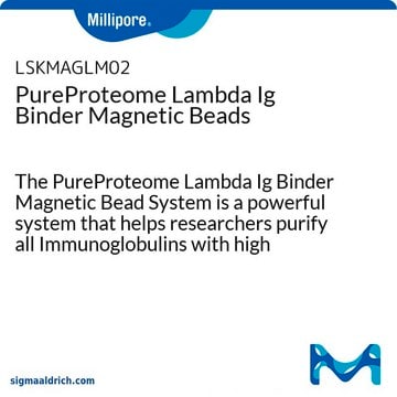 PureProteome Lambda Ig Binder Magnetic Beads The PureProteome Lambda Ig Binder Magnetic Bead System is a powerful system that helps researchers purify all Immunoglobulins with high specificity.