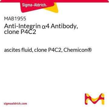 Anti-Integrin &#945;4 Antibody, clone P4C2 ascites fluid, clone P4C2, Chemicon&#174;