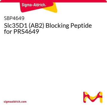 Slc35D1 (AB2) Blocking Peptide for PRS4649