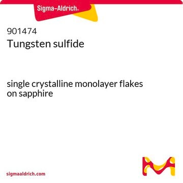 Tungsten sulfide single crystalline monolayer flakes on sapphire