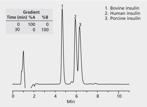 Insulin application for HPLC