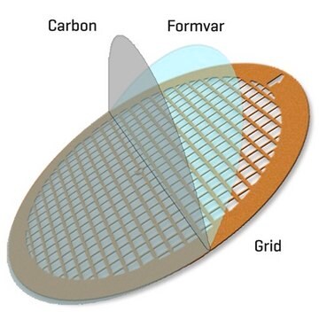 Formvar/Carbon Supported Copper Grids grid size 200&#160;mesh, box of 50