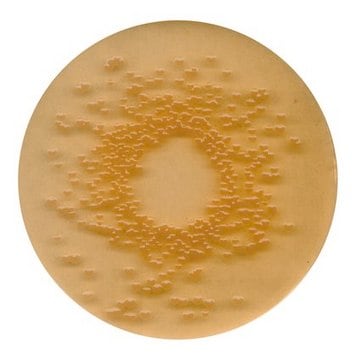 DEV Gelatine-Agar for microbiology