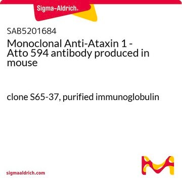 Monoclonal Anti-Ataxin 1 - Atto 594 antibody produced in mouse clone S65-37, purified immunoglobulin