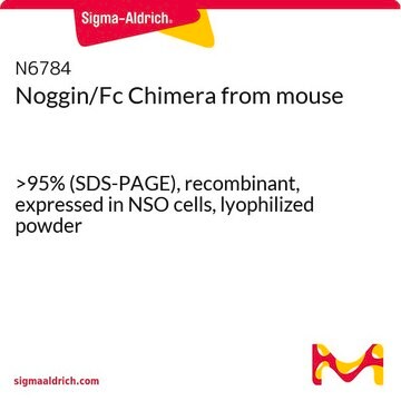 Noggin/Fc Chimera from mouse &gt;95% (SDS-PAGE), recombinant, expressed in NSO cells, lyophilized powder