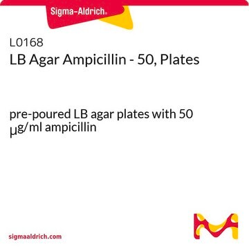 LB Agar Ampicillin - 50, Plates pre-poured LB agar plates with 50 &#956;g/ml ampicillin