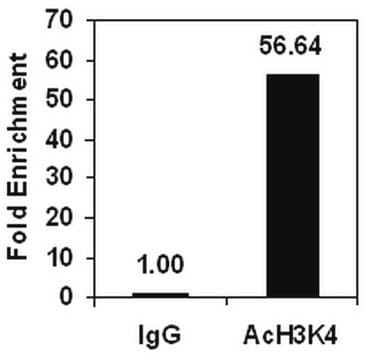 ChIPAb+ Acetyl-Histone H3 (Lys4) - ChIP Validated Antibody and Primer Set from rabbit, purified by affinity chromatography