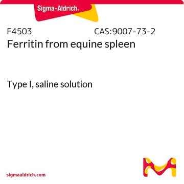 Ferritin from equine spleen Type I, saline solution