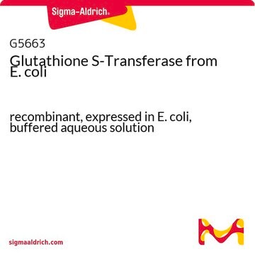 Glutathione S-Transferase from E. coli recombinant, expressed in E. coli, buffered aqueous solution