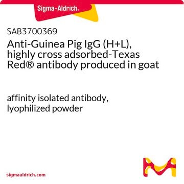 Anti-Guinea Pig IgG (H+L), highly cross adsorbed-Texas Red&#174; antibody produced in goat affinity isolated antibody, lyophilized powder