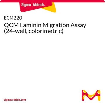 QCM Laminin Migration Assay (24-well, colorimetric)