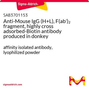 Anti-Mouse IgG (H+L), F(ab&#8242;)2 fragment, highly cross adsorbed-Biotin antibody produced in donkey affinity isolated antibody, lyophilized powder