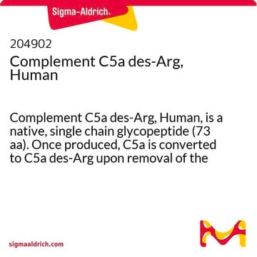 Komplement&nbsp;C5a-des-Arg, human Complement C5a des-Arg, Human, is a native, single chain glycopeptide (73 aa). Once produced, C5a is converted to C5a des-Arg upon removal of the C-terminal arginine by serum carboxypeptidase N.