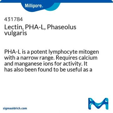 Lectin, PHA-L, Phaseolus&nbsp;vulgaris PHA-L is a potent lymphocyte mitogen with a narrow range. Requires calcium and manganese ions for activity. It has also been found to be useful as a specific marker in anterograde neuronal tracing. Elution: 100 mM acetic acid.