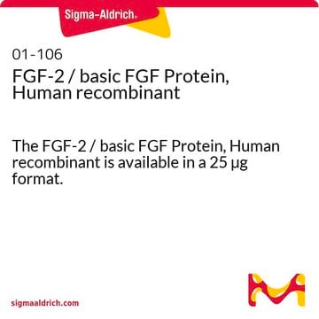 Proteína FGF-2 / proteína FGF básica recombinante humana The FGF-2 / basic FGF Protein, Human recombinant is available in a 25 &#181;g format.