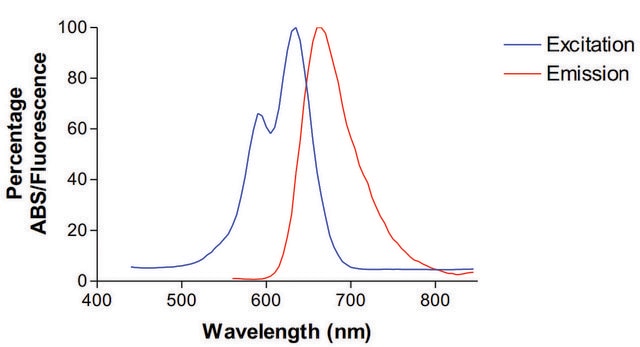 Monoclonal Anti-Gaba-B Receptor 2 - Atto 633 antibody produced in mouse clone S81-2, purified immunoglobulin