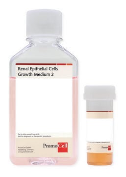 Renal Epithelial Cell Growth Medium 2 Ready-to-use kit including Basal Medium and SupplementMix, 500 ml