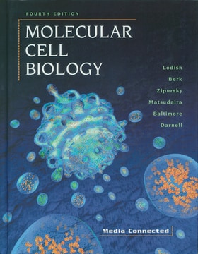 Molecular Cell Biology, 4th ed. | Sigma-Aldrich