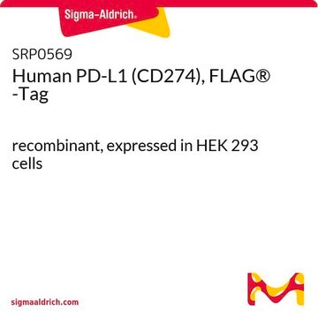 Human PD-L1 (CD274), FLAG&#174; -Tag recombinant, expressed in HEK 293 cells